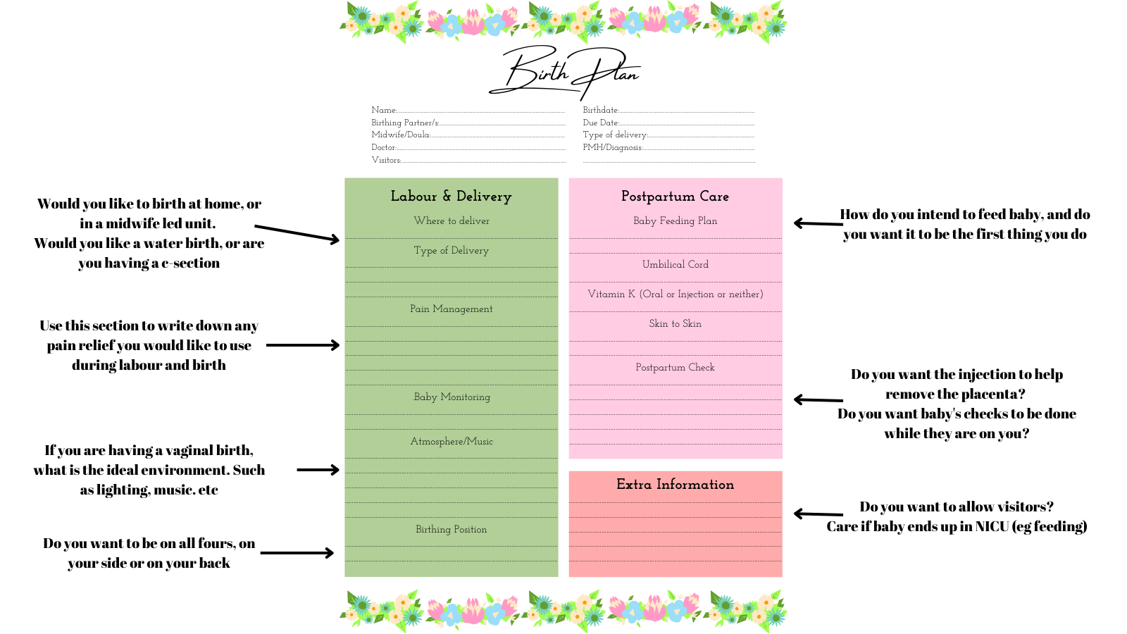 An image of a birth plan with a how to